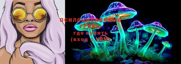 прущий лед Алексеевка
