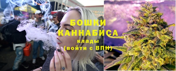 PSILOCYBIN Алзамай