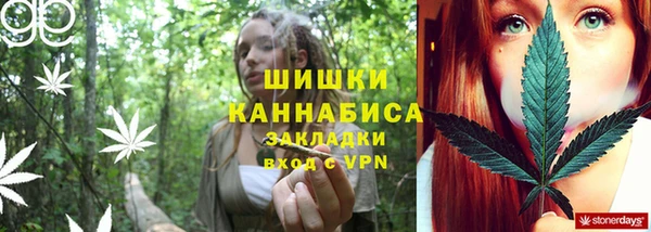 прущие грибы Россошь